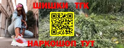 винт Сланцы