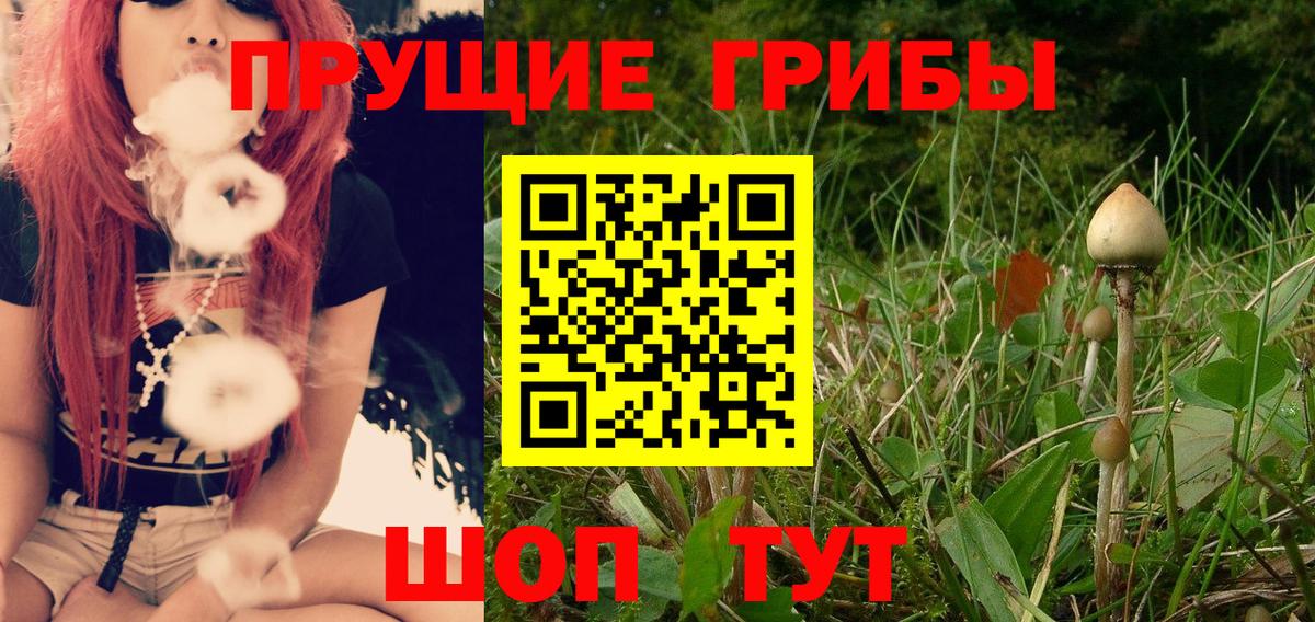 Галлюциногенные грибы Cubensis  Вход с VPN  Ноябрьск  Галлюциногенные грибы ЛСД 