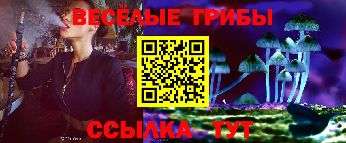Псилоцибиновые грибы Psilocybe Ноябрьск